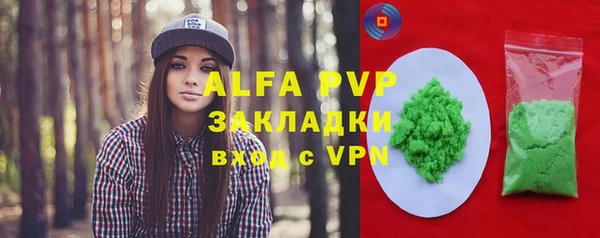 сатива Аркадак
