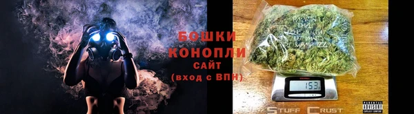 сатива Аркадак