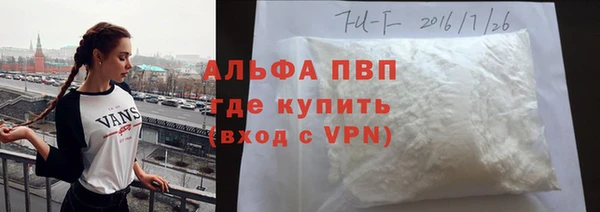 сатива Аркадак
