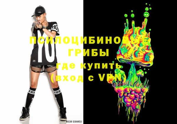 сатива Аркадак